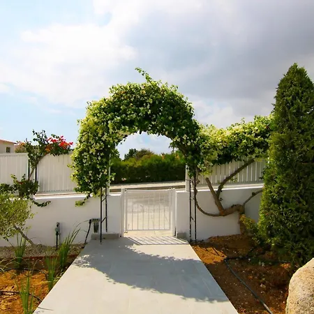 Phaedrus Living Luxury Ellison